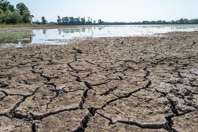 Le défi de réautoriser l’acétamipride tout en préservant la démocratie de l&rsquo;eau