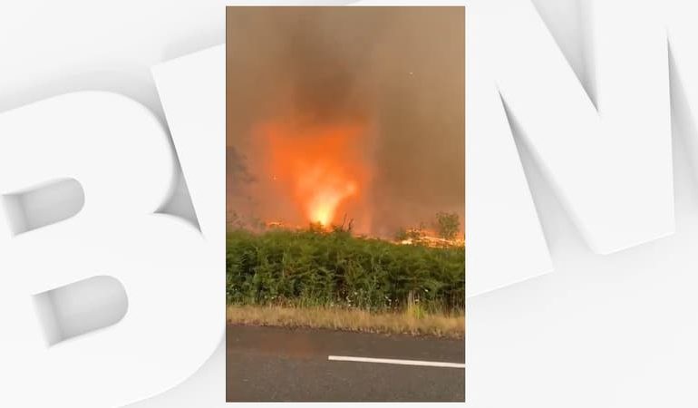 Une tornade de feu en Gironde lors des incendies