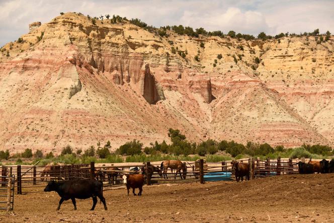 Donald Trump réduit la superficie de zones protégées dans l&rsquo;Utah