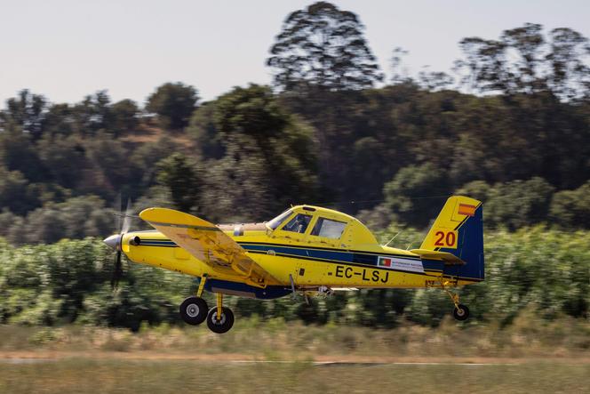 Incendie majeur au Portugal malgré les efforts de prévention