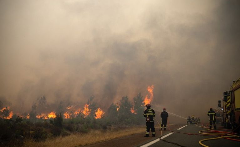 Retour sur l&rsquo;incendie en Gironde : caractéristiques et enjeux