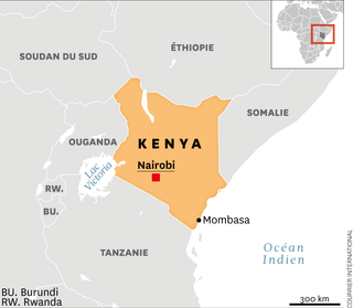 Coexistence avec les éléphants : les solutions des agriculteurs kenyans