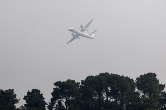 Incendie en forêt de Fontainebleau : une mobilisation exceptionnelle