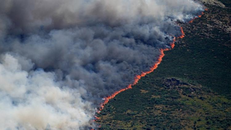 Incendies en Espagne : Madrid Menacée par un Brasier Hors de Contrôle