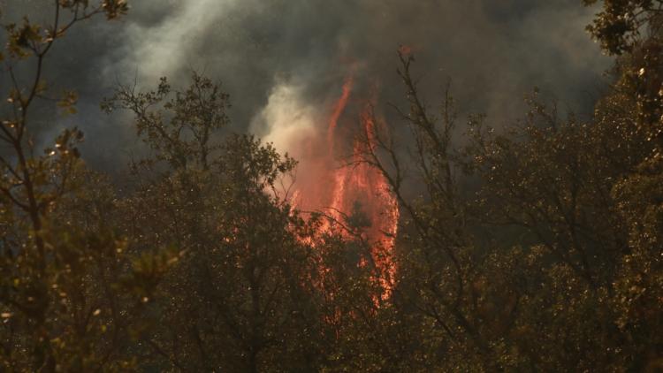 Comparution d&rsquo;un Homme Suspecté d&rsquo;Incendie Volontaire dans le Var