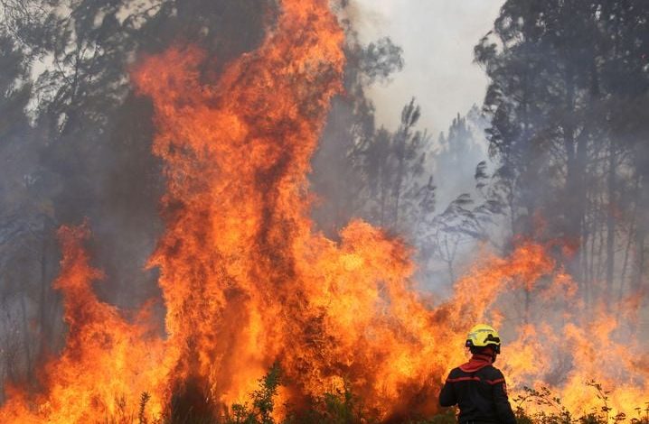 Incendie en Gironde : Un Phénomène Inédit et Dévastateur