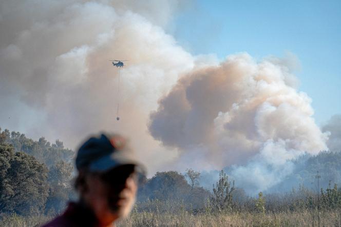 Incendie dévastateur dans le Gard : 540 hectares ravagés