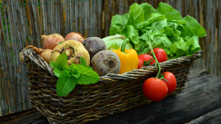 Hausse des prix des légumes due aux aléas climatiques