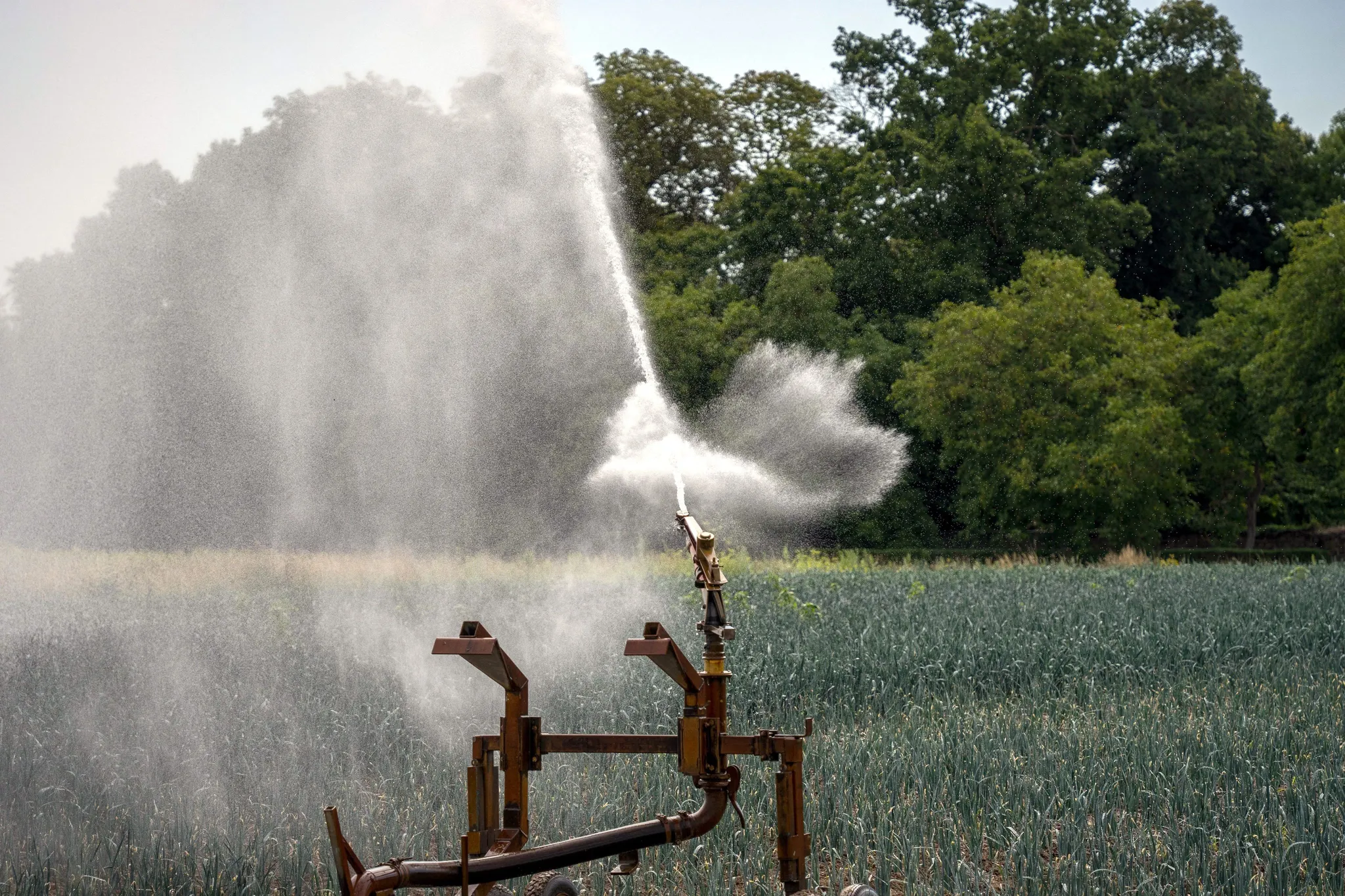 Controverse autour des pesticides interdits dans le projet de loi d&rsquo;urgence agricole