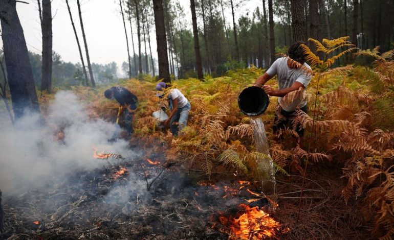 Les Habitants de Gironde Face aux Incendies