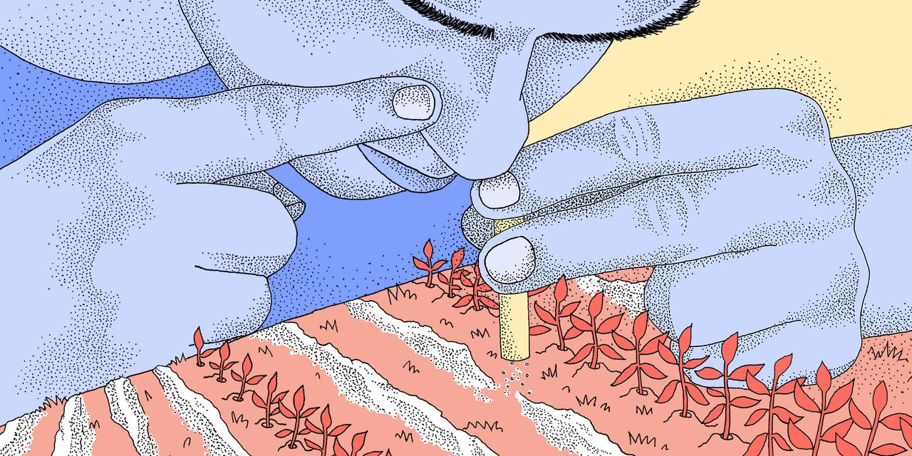 Usage de la cocaïne dans les zones rurales