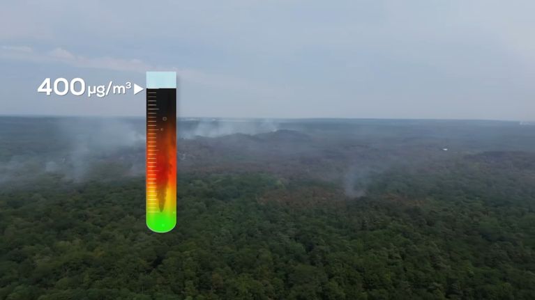 Incendies à Fontainebleau : Conséquences sur l&rsquo;Environnement et la Santé