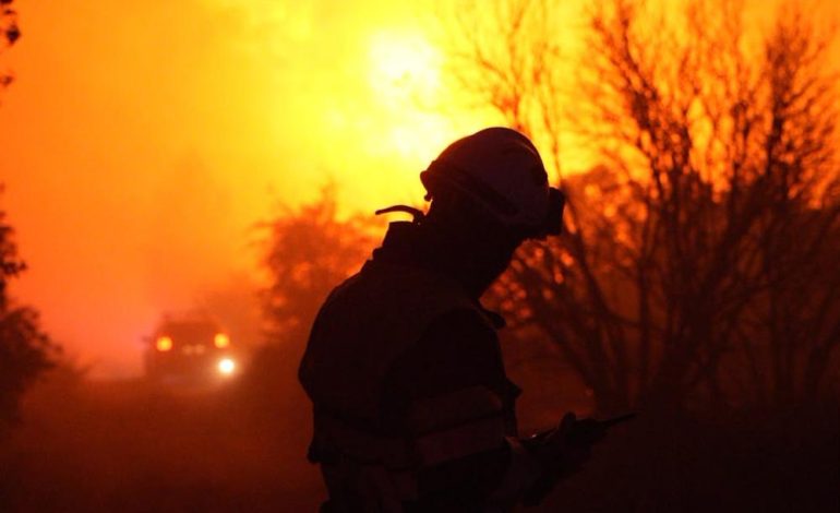 Vagues d&rsquo;incendies dans le Sud de la France et au Portugal : état des lieux et interventions