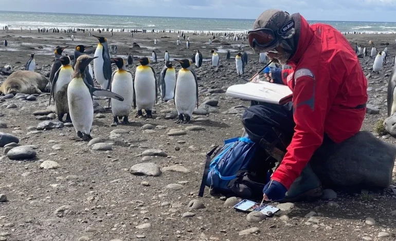 Les îles Kerguelen: un voyage au bout du monde