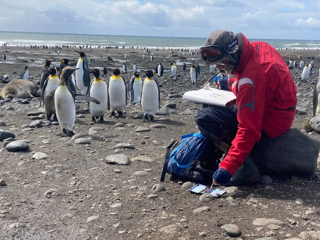 Les îles Kerguelen: un voyage au bout du monde