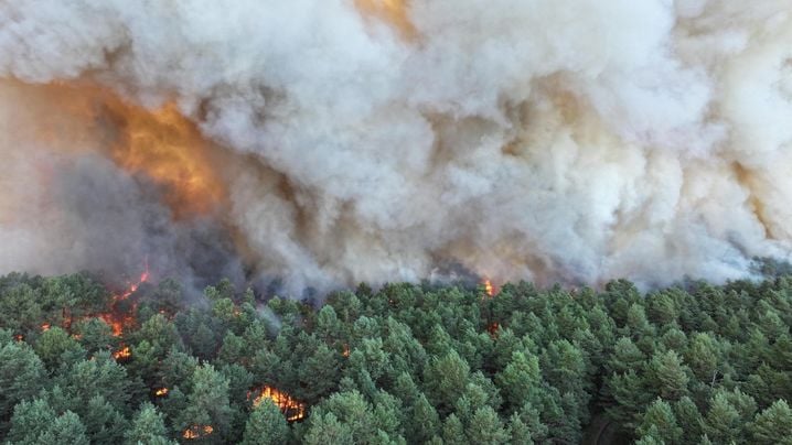Incendie en forêt de Fontainebleau : un combat de longue haleine