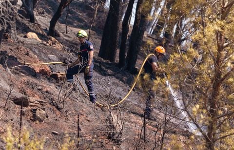Incendies dévastateurs en France et en Europe