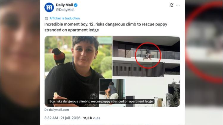 Un garçon sauve un chien coincé sur un balcon en Australie