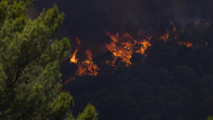 Incendies dans le Var : Vigilance face aux Arnaques et Mobilisation des Pompiers