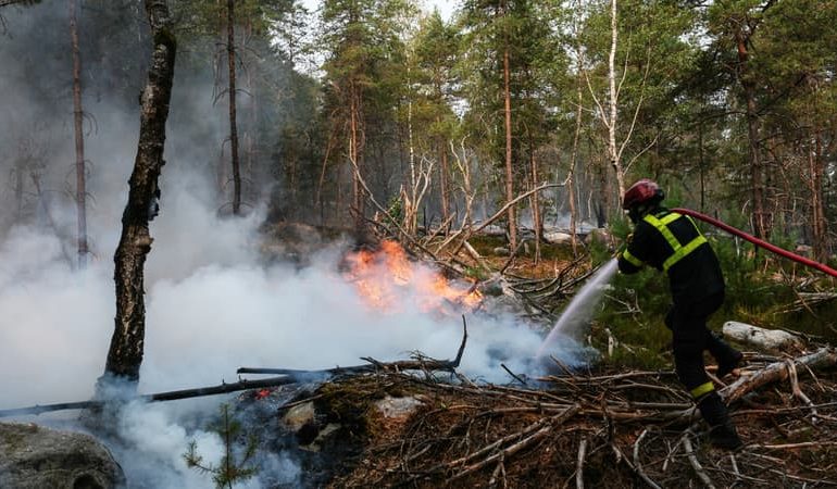 Incendie dans la Forêt de Fontainebleau : Enquête et État de la Situation