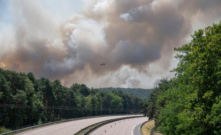 Incendies en Forêt de Fontainebleau et Alerte Canicule en France