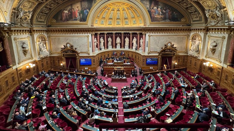 Sanction inédite au Sénat pour la sénatrice Christine Herzog