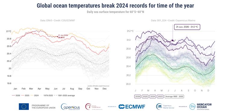 Records de température des océans : Inquiétudes et enjeux du changement climatique