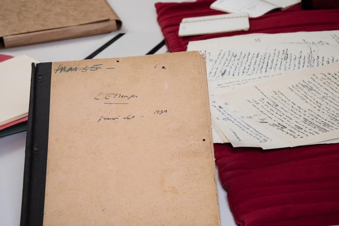 La Bibliothèque nationale de France acquiert un fonds littéraire exceptionnel d&rsquo;Albert Camus