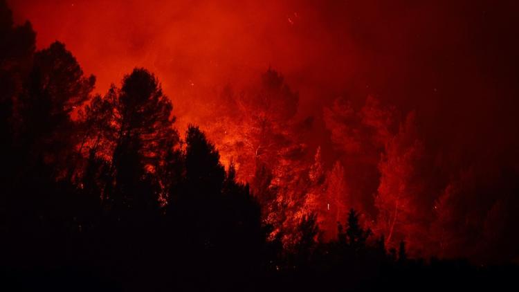 Incendies en France : État des lieux et évolutions