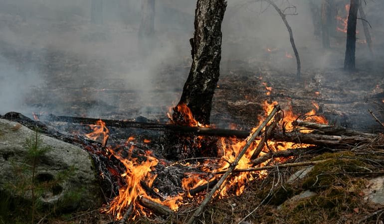 Un pompier volontaire impliqué dans l&rsquo;incendie de Fontainebleau