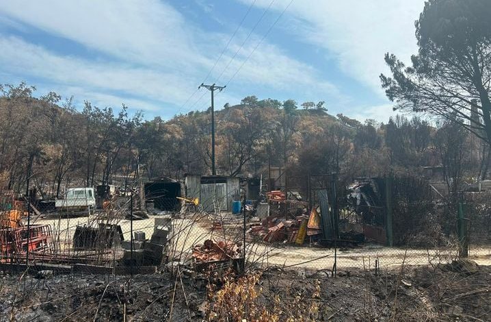 Incendie dévastateur dans les Pyrénées-Orientales : témoignages et impacts