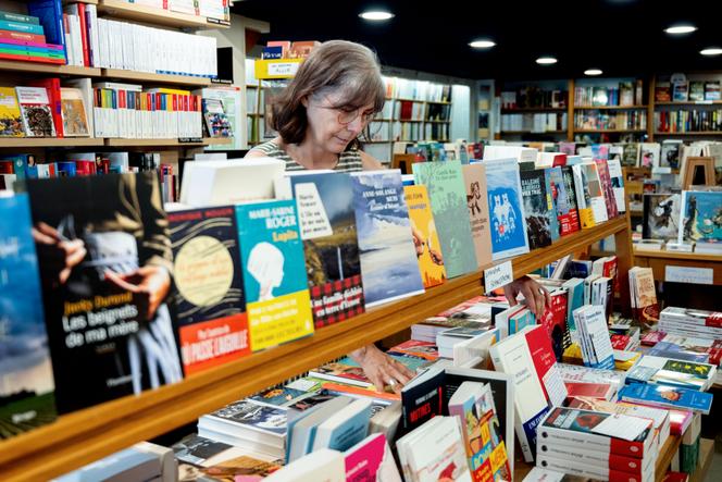 Définir un livre : enjeux fiscaux et culturels