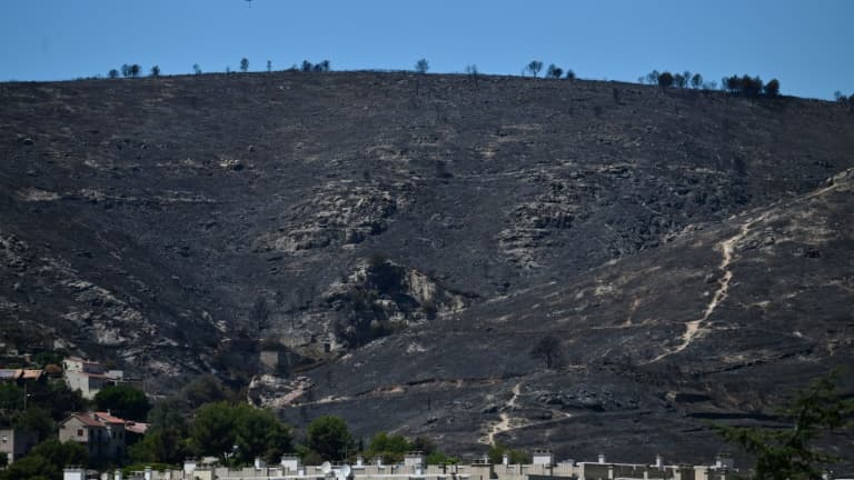 Marseille un an après les incendies: entre cicatrices et reconstruction