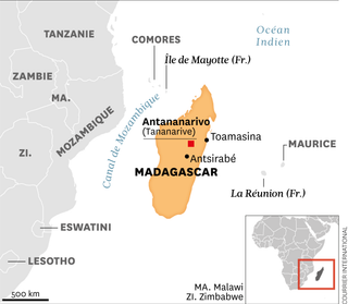 Déclin d&rsquo;un Baobab Millénaire à Madagascar