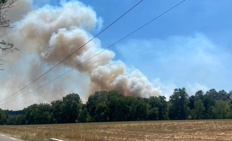 Incendies en Gironde et dans le Var : Situation et mesures