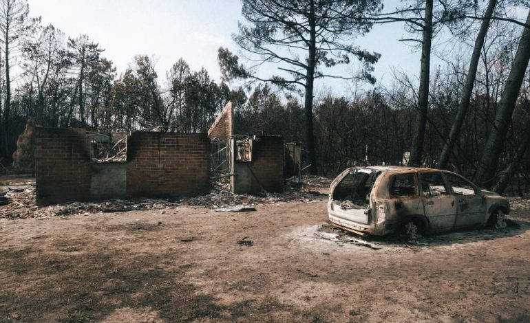Feu de forêt en Gironde : situation stabilisée mais pas fixée