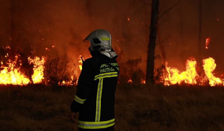 Les incendies de forêt en France : une menace croissante