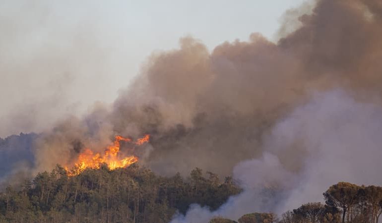 Incendies Dévastateurs en Espagne : Conséquences et Enjeux