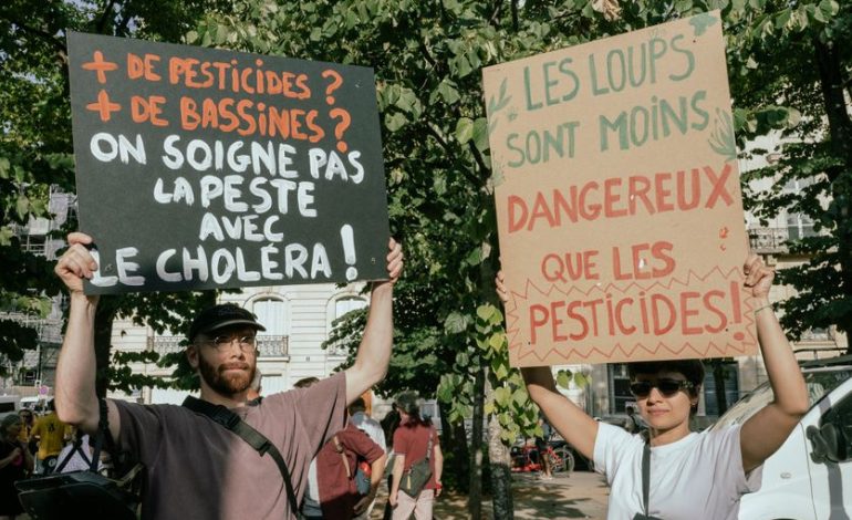 Controverses autour de la Loi d&rsquo;Urgence Agricole et des Pesticides