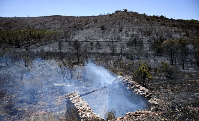 Lutte contre un incendie dévastateur dans les Pyrénées-Orientales