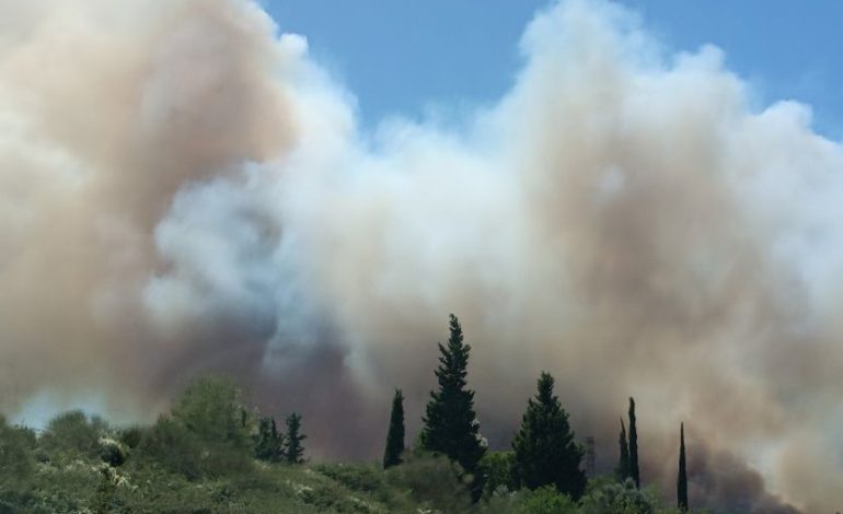 Incendie dans le Gard : Situation sous contrôle mais encore active