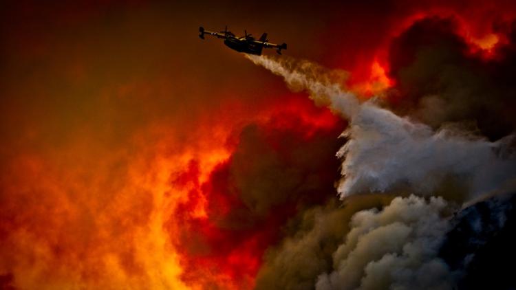 Incendies en Corse : Près de 1 000 hectares ravagés depuis mi-juillet