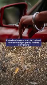 Les mégots de cigarettes : un danger persistant pour la forêt