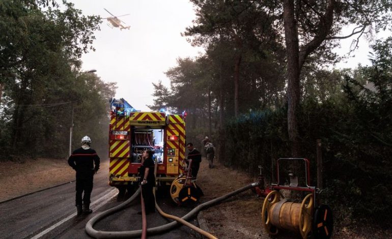 Incendies de la forêt de Fontainebleau : évacuation des habitants et protection des animaux