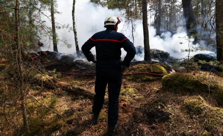 Les incendies en Seine-et-Marne : un bilan alarmant et des réactions politiques