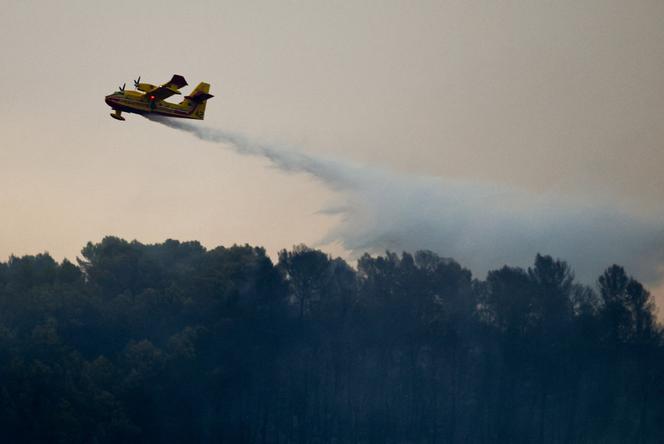 Incendies dans le Sud de la France : Canicule et Sécheresse Aggravent les Risques