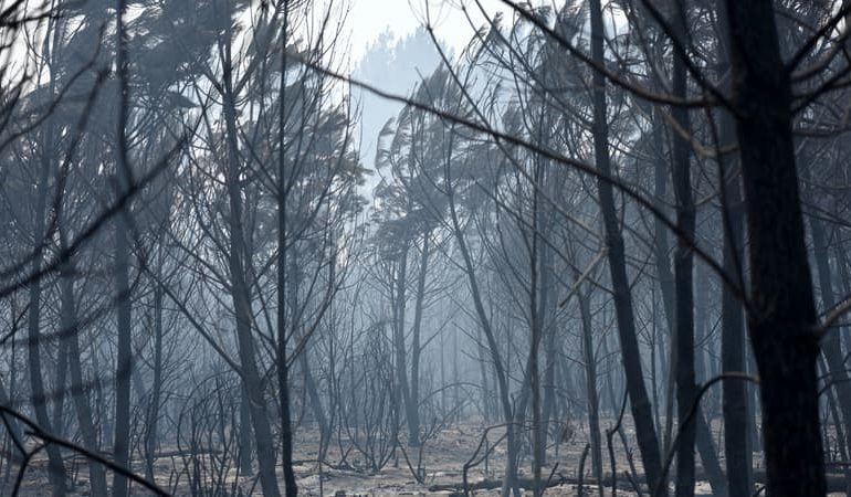 L&rsquo;incendie à Biscarrosse maîtrisé et réouverture des quartiers