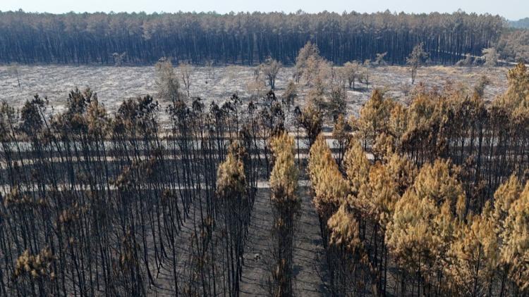 Les incendies en Gironde et leurs impacts