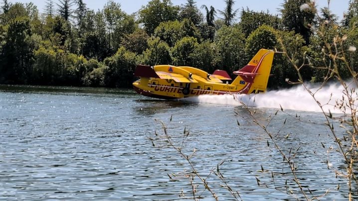 Incendie à Fontainebleau et conséquences pour la population locale