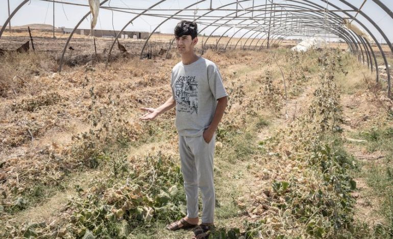 Les Défis de l&rsquo;Agriculture à Sinjar Face aux Changements Climatiques